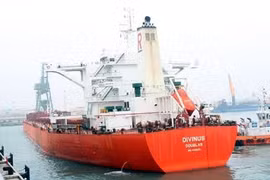 Un cargo de 170.000 tonnes dans le port de Son Duong