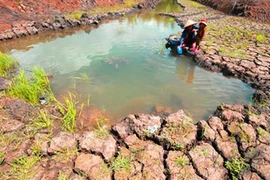 Forum sur l’environnement et le développement durable à Vinh Phuc