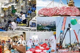 Les relations entre le Vietnam et les grands pays en débat à Singapour