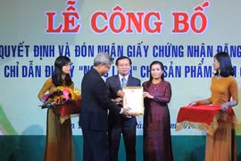 Kon Tum : certificat d’indication géographique pour le ginseng de Ngoc Linh