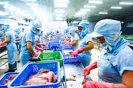 Le tilapia vietnamien s’exporte à un bon prix aux Etats-Unis