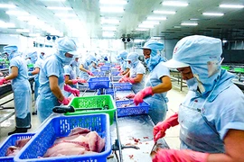 Le tilapia vietnamien s’exporte à un bon prix aux Etats-Unis