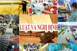 Améliorer vigoureusement l’environnement d’investissement 