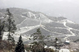 Neige et verglas font leur apparition dans plusieurs provinces du Nord