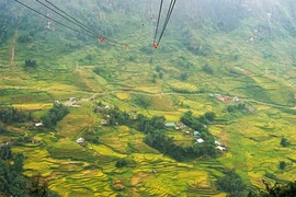 Découvrir la vallée de Muong Hoa grâce au téléphérique