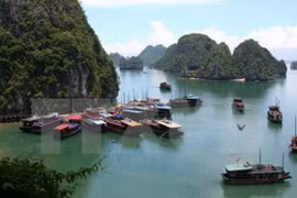 Thrillist : Le Vietnam figure parmi les destinations les plus attrayantes d’Asie du Sud-Est