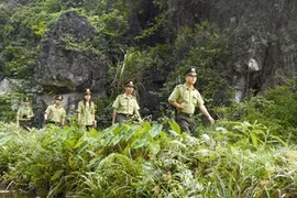 Vietnam et Laos renforcent la coopération en matière sylvicole