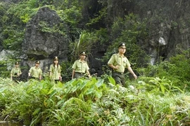 Vietnam et Laos renforcent la coopération en matière sylvicole
