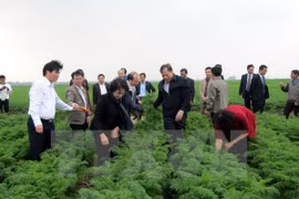 La présidente de l’AN engage Cam Giang à développer des zones agricoles à haute valeur ajoutée