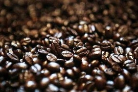 Bond des exportations nationales de café en Algérie depuis janvier