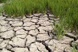 Promouvoir la coopération internationale dans la gestion et l’exploitation des eaux souterraines