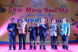 Réception pour saluer le Têt et le succès du 12e Congrès du PCV