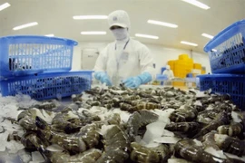 Prévisions optimistes pour l'exportation des crevettes en 2016