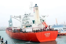 Un cargo de 170.000 tonnes dans le port de Son Duong