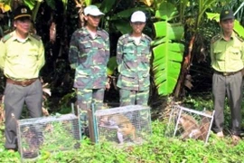 Quang Binh relâche dans la nature 18 animaux sauvages 