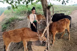 Réduire l'écart de développement entre zones urbaines et rurales 