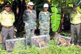 Quang Binh relâche dans la nature 18 animaux sauvages 