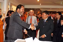 Célébration les 45 ans des relations diplomatiques Vietnam-Pays-Bas