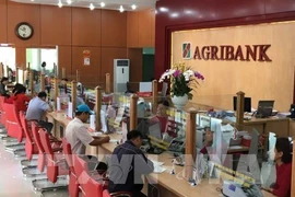 Agribank accorde des crédits à taux préférentiels à l’agriculture high-tech