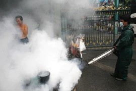 Bangkok décrète une alerte à la dengue