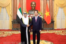 Le président Tran Dai Quang reçoit de nouveaux ambassadeurs