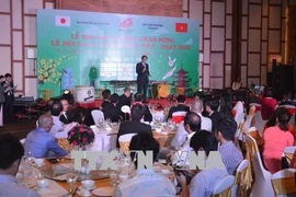 La fête d'échange culturel Vietnam-Japon 2018 à Da Nang