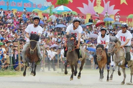 Rendez-vous en juin sur le plateau de Bac Ha (Lao Cai) 