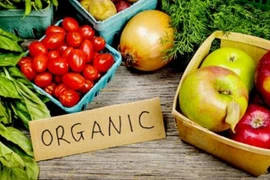 L'Indonésie renforce l'exportation de produits bio