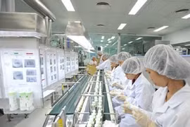 Face au recul des investissements français au Vietnam: nécessité de poursuivre les réformes