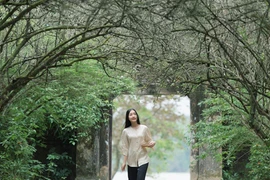 Des films sur la culture de Hue, fruit d'une coopération vietnamo-sud-coréenne 
