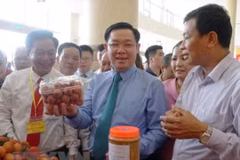 Forum sur le litchi et d'autres produits agricoles clés de Bac Giang