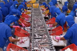 Bientôt la Foire aux produits aquatiques de Hanoï 