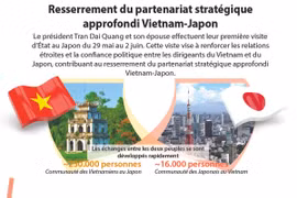 Resserrement du partenariat stratégique approfondi Vietnam-Japon