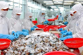 Produits aquatiques: les exportations vers le Moyen-Orient et l'Afrique sont florissantes