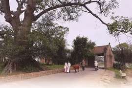 La porte du village, un symbole de la culture vietnamienne