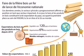 [Infographie] Faire de la filière bois un fer de lance de l’économie nationale