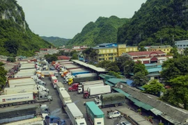 Le Vietnam devient le plus grand partenaire commercial de la Chine au sein de l'ASEAN