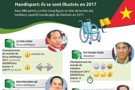 Handisport: ils se sont illustrés en 2017