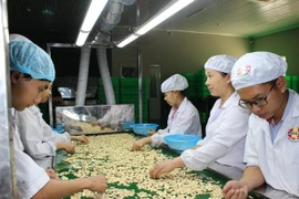 Promotion de la coopération économique Vietnam-Roumanie