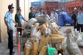 Saisie d’un grand lot de défenses d’éléphants et d’écailles de pangolin à Hanoï