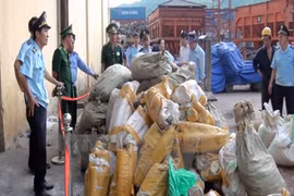 Saisie d’un grand lot de défenses d’éléphants et d’écailles de pangolin à Hanoï