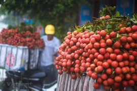 Les litchis sont servis sur des vols de Vietnam Airlines
