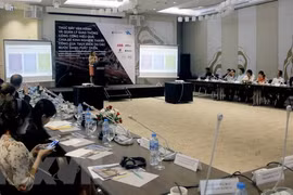 La Suède partage des expériences de gestion des transports publics à HCM-Ville