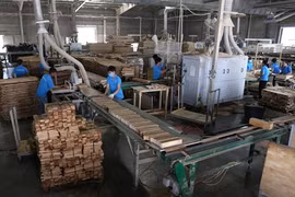 Filière bois: 10 milliards de dollars d’exportations visés en 2020