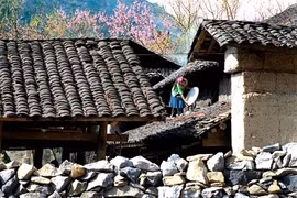 Plateau calcaire de Dông Van - Parc géologique et patrimoine mondial