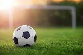 Ouverture d'un tournoi de football des Vietnamiens en Russie