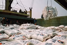 Les exportations nationales de riz atteindront 6 millions de tonnes en 2018