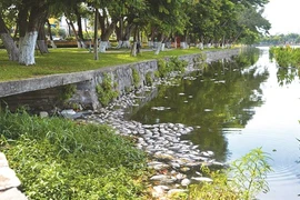 Dà Nang cherche à sauver ses plans d’eau