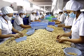 Dong Nai : chiffre d’affaires à l’export de 4,3 milliards de dollars au premier trimestre