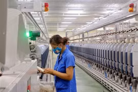 VITAS collabore avec le WWF pour "verdir" l'industrie du textile du Vietnam 